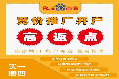 掌握SEM竞价技巧：从案例看效果提升