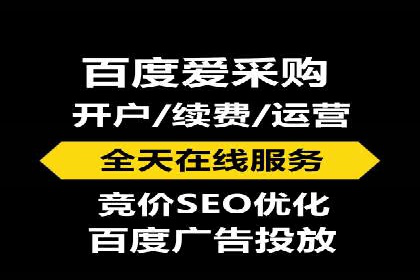 网络推广竞价策略案例分析